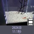 ̃TlCNbNƓɂȂ܂