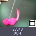 ̃TlCNbNƓɂȂ܂