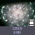 ̃TlCNbNƓɂȂ܂