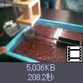 ̃TlCNbNƓɂȂ܂